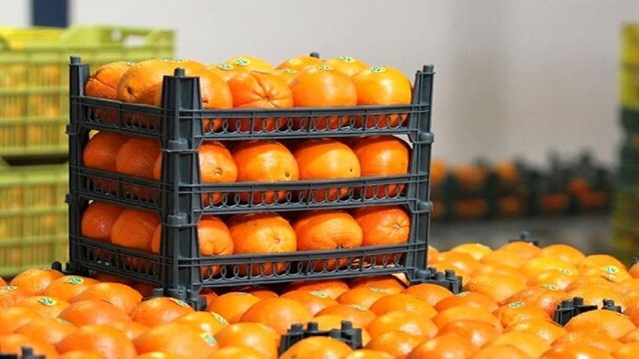 فعالیت ۱۷ مرکز در گلستان برای توزیع سیب و پرتقال با قیمت دولتی