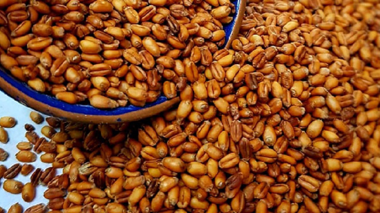 میهمانی نوروزی در چهارمحال و بختیاری با آداب و رسومی خوشمزه