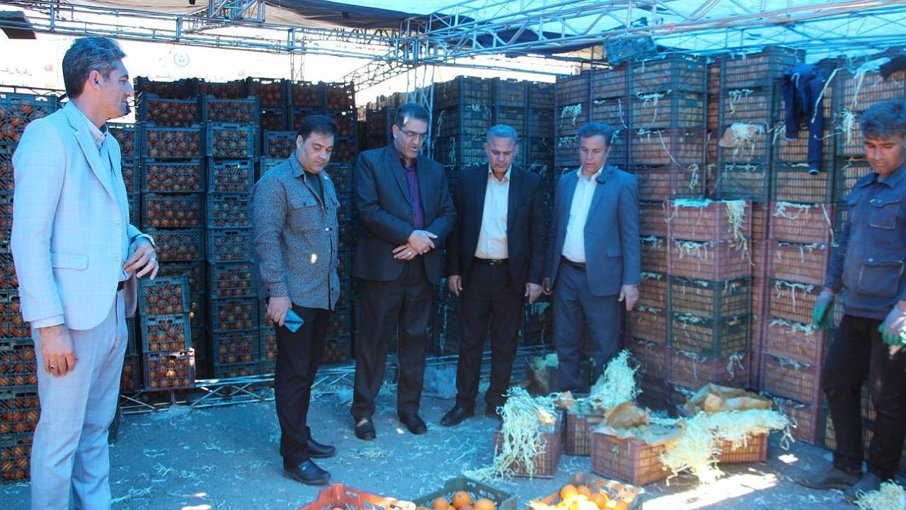 آغاز توزیع میوه شب عید در سیرجان