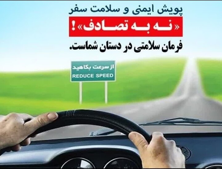 مدیرکل بهزیستی فارس به پویش ملی نه به تصادف پیوستند