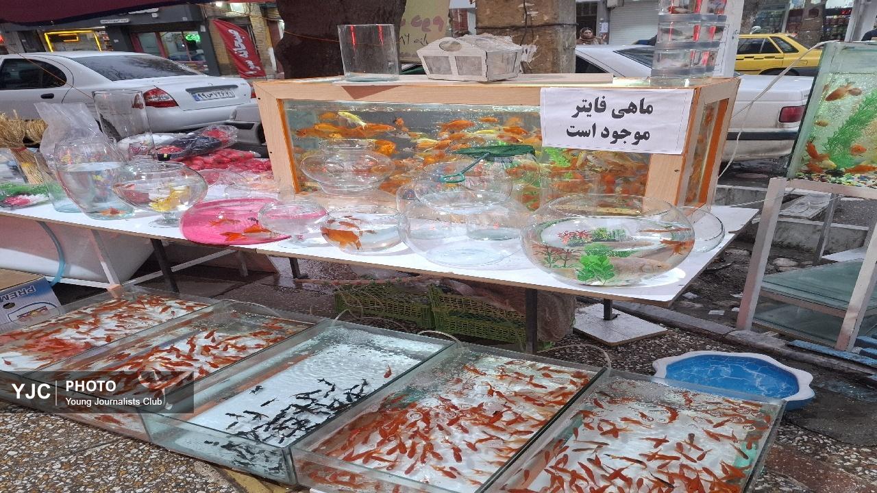 حال و هوای خرم آباد در آستانه عید نوروز ۱۴۰۴+فیلم