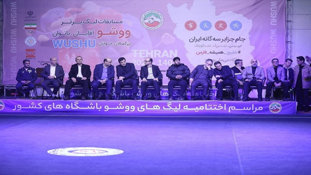 دنیامالی: برای حضور ووشو در المپیک باید برنامه‌ریزی کنیم