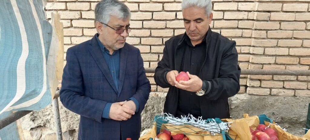 بازدید از غرفه توزیع میوه تنظیم بازار در کردستان