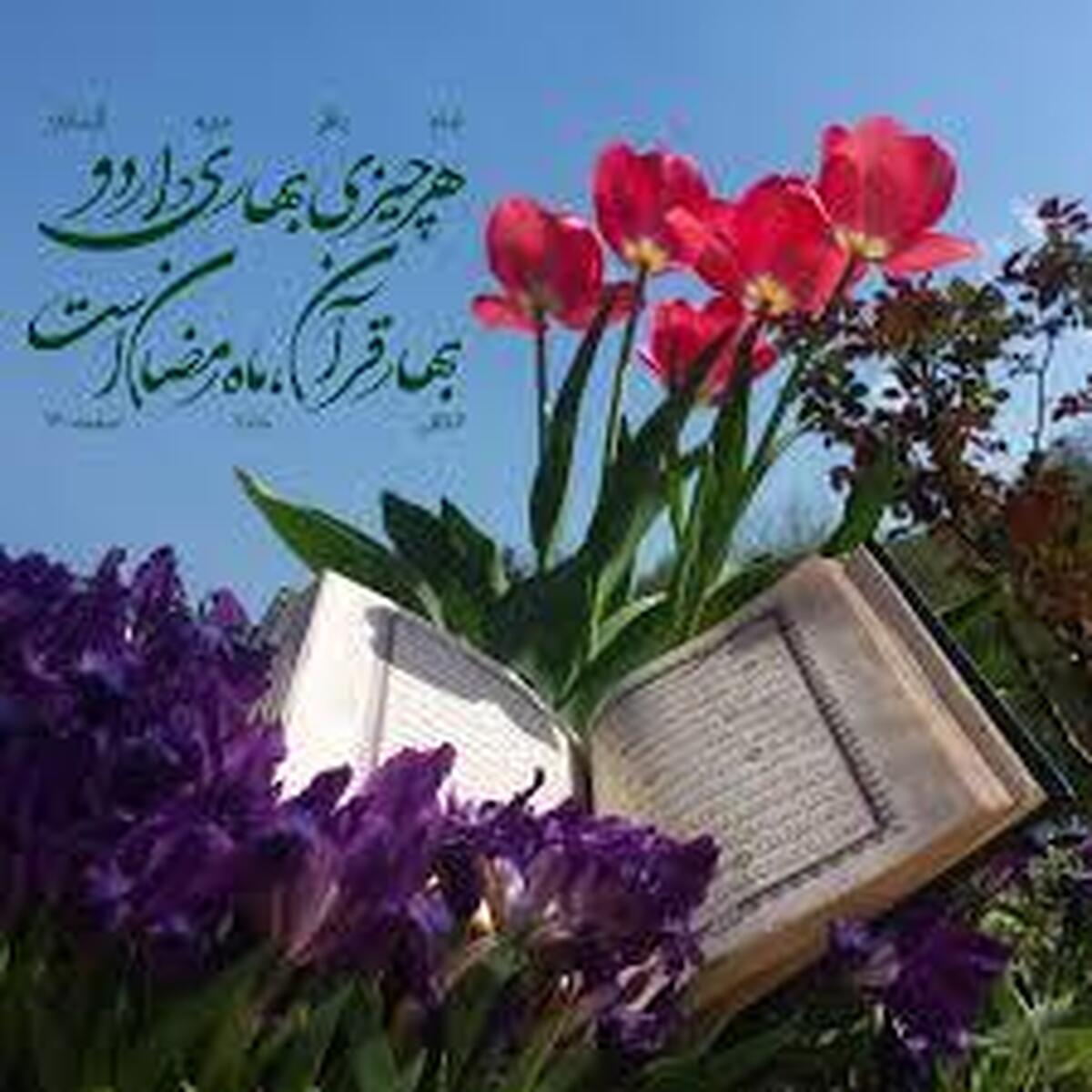 باشگاه خبرنگاران -شهرداری یزد به استقبال بهار قرآن و طبیعت می‌رود