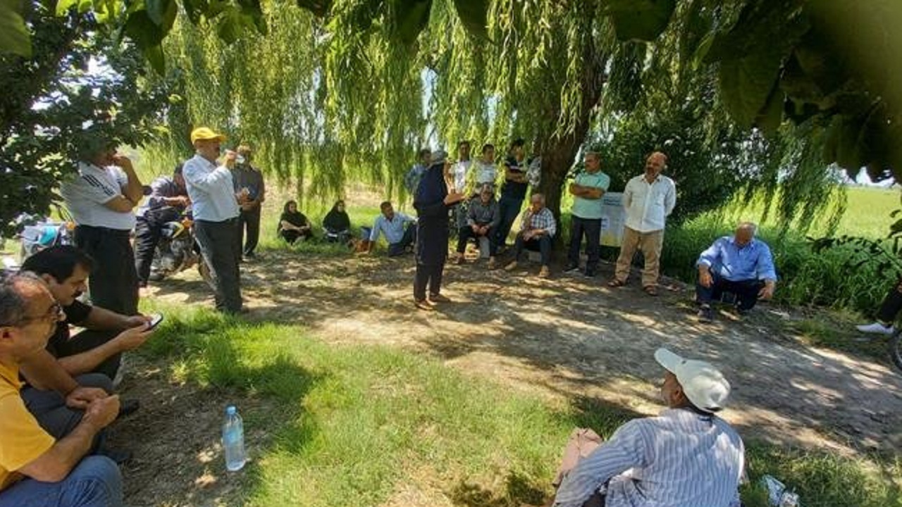 ایجاد ۹ سایت الگویی برنج در محمودآباد