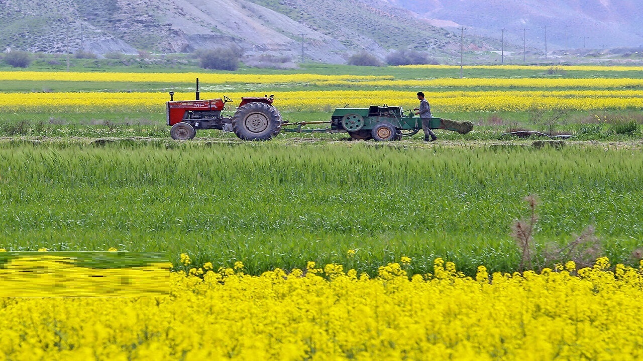 مصرف کود‌های یارانه‌ای در قم افزایش می‌یابد