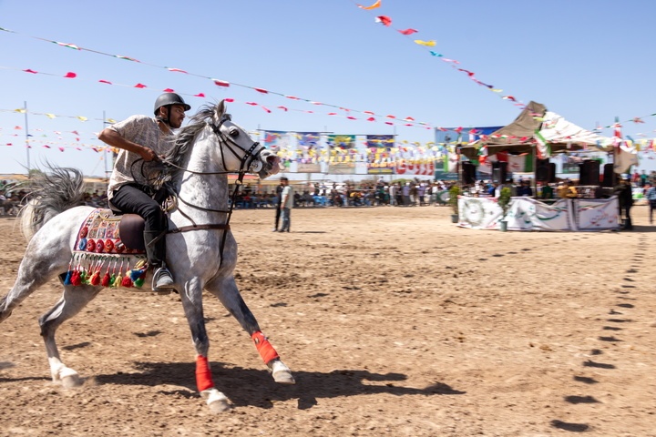 برگزاری اولین همایش سوارکاری در شهرستان درگزین