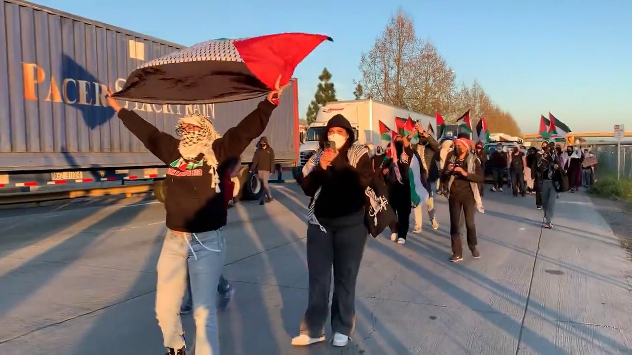 شلیک گاز اشک‌آور به سمت طرفداران فلسطین در آمریکا + فیلم