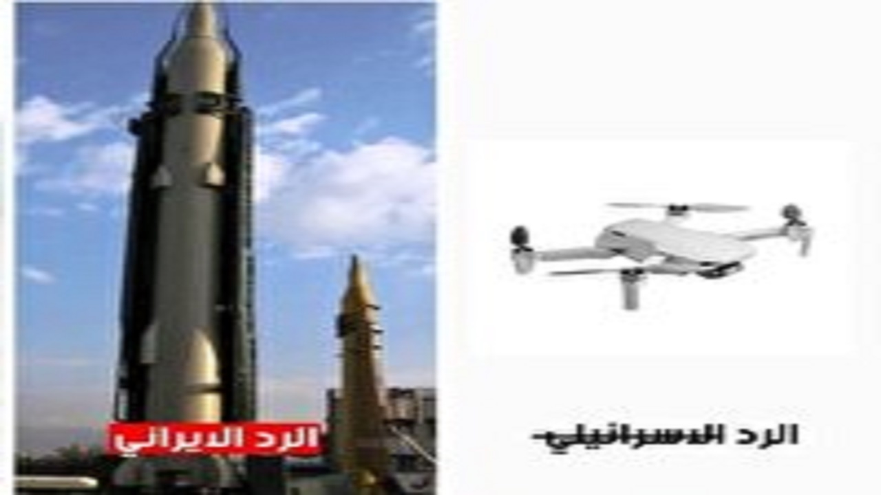 واکنش کاربران فضای مجازی به حضور ریز پرنده‌ها در اصفهان + فیلم