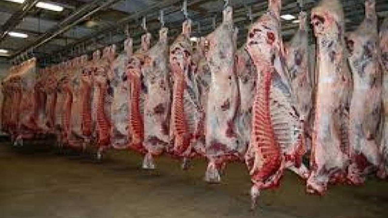 شهروندان از خرید گوشت کنار معابر و جاده پرهیز کنند