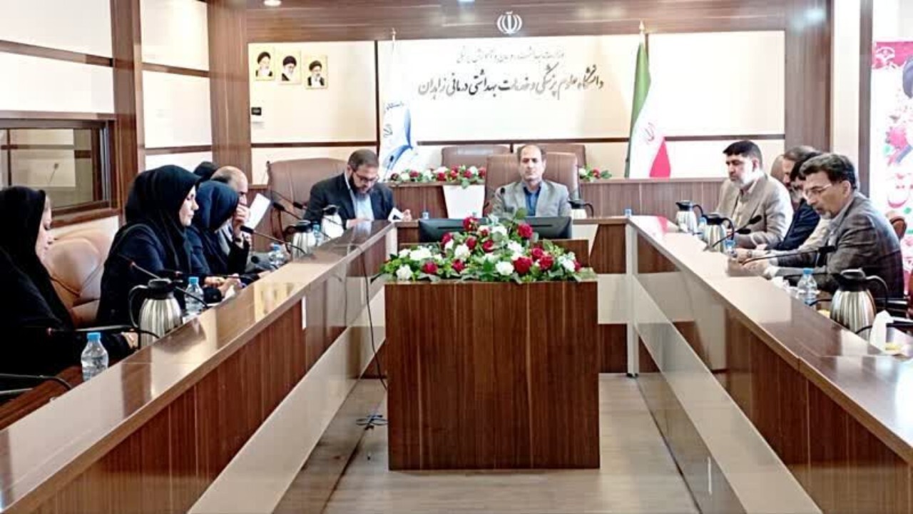 جلسه هم اندیشی ساماندهی خدمات بهداشتی و درمانی اتباع خارجی در سیستان و بلوچستان