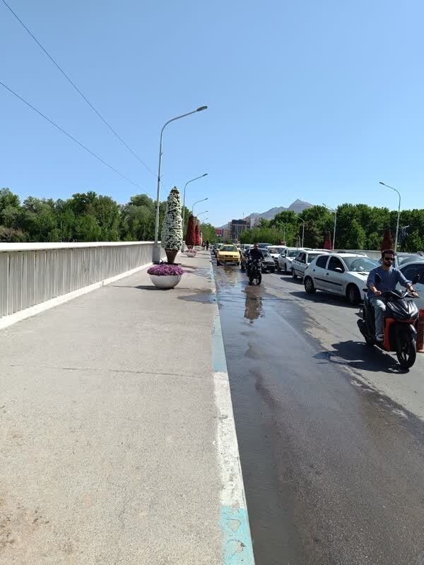 گل ها و گیاهان