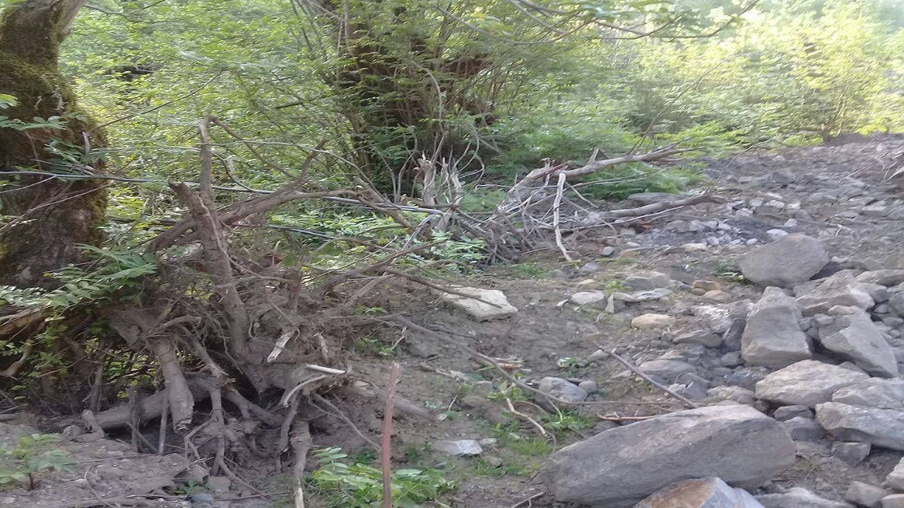 نابودی طبیعت اهالی روستای چنار رودخان را رنجیده خاطر کرد + فیلم و تصاویر