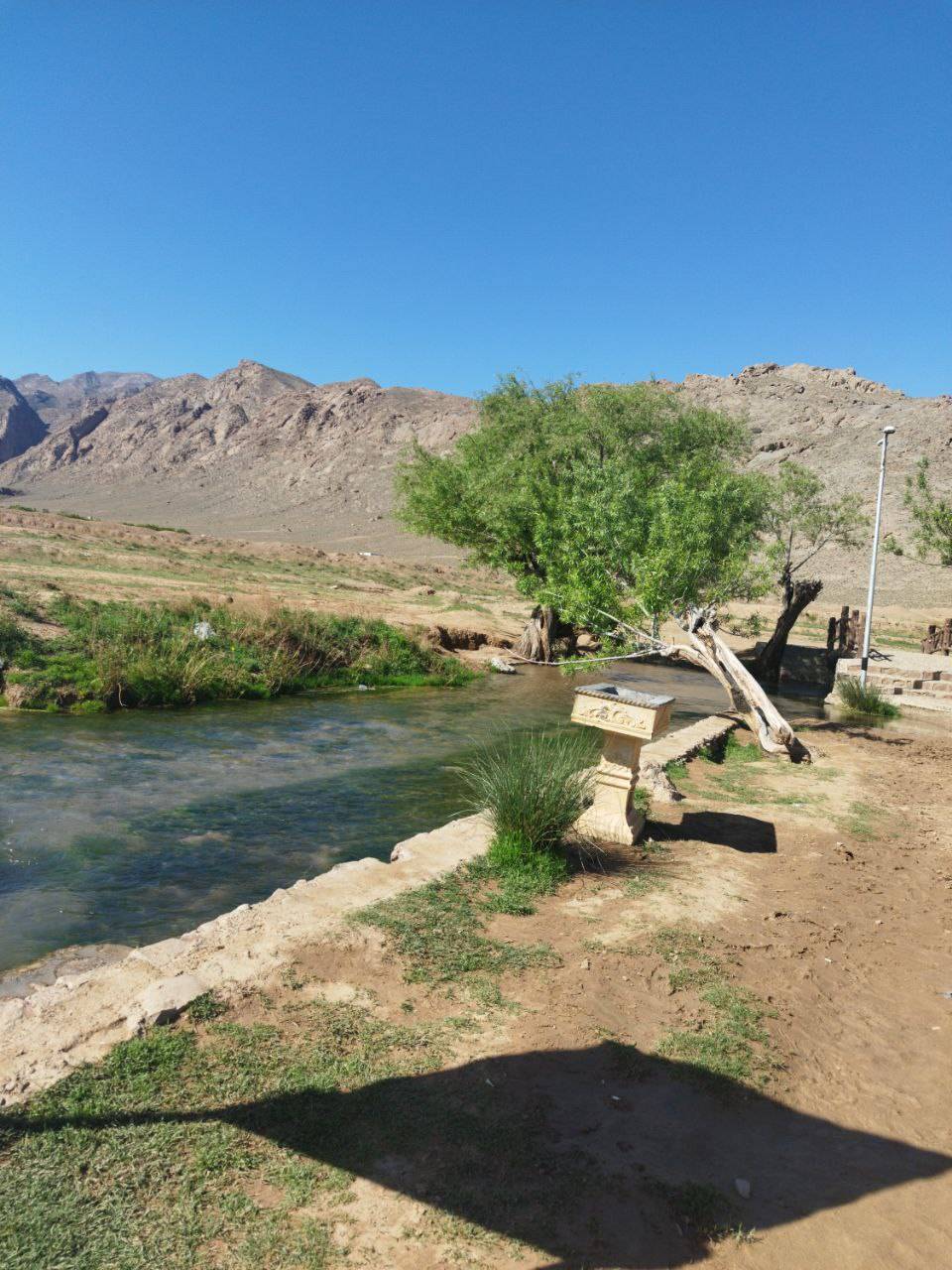 منظره بهاری