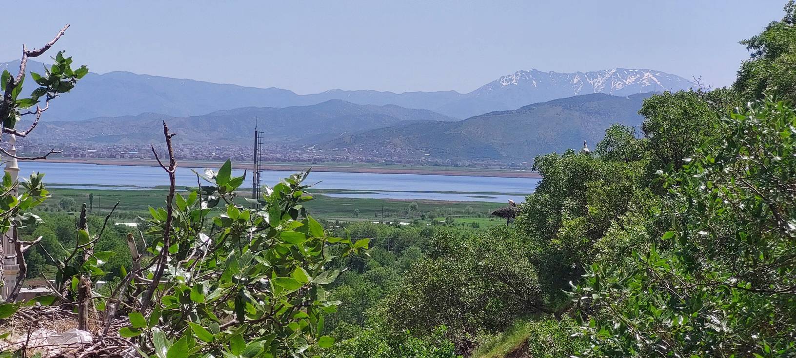 نمایی از دریاچه زریبار در مریوان