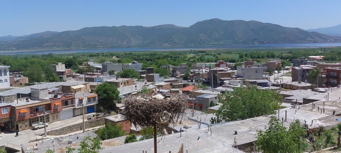 روستای دره تفی