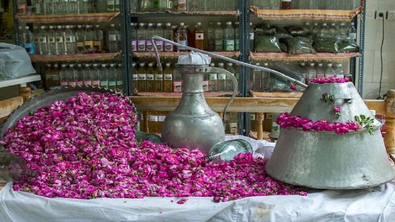آموزش گلاب گیری + فیلم
