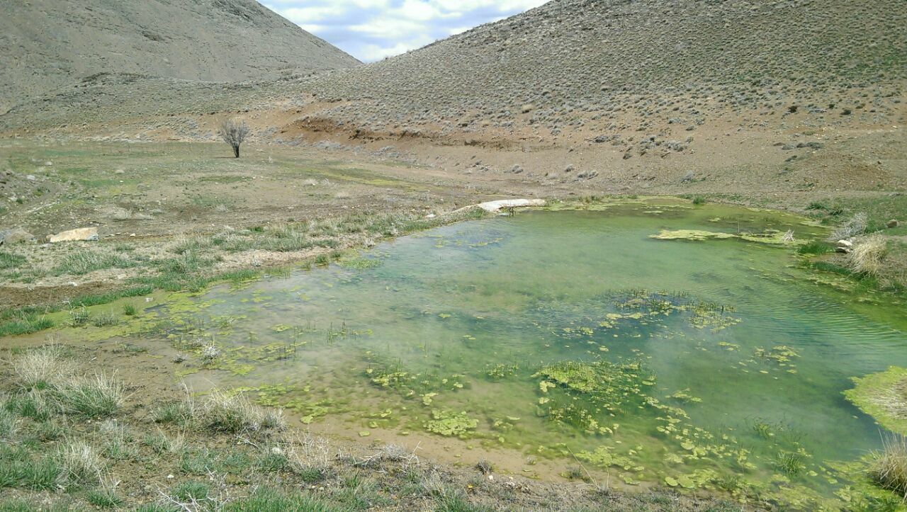 برکه