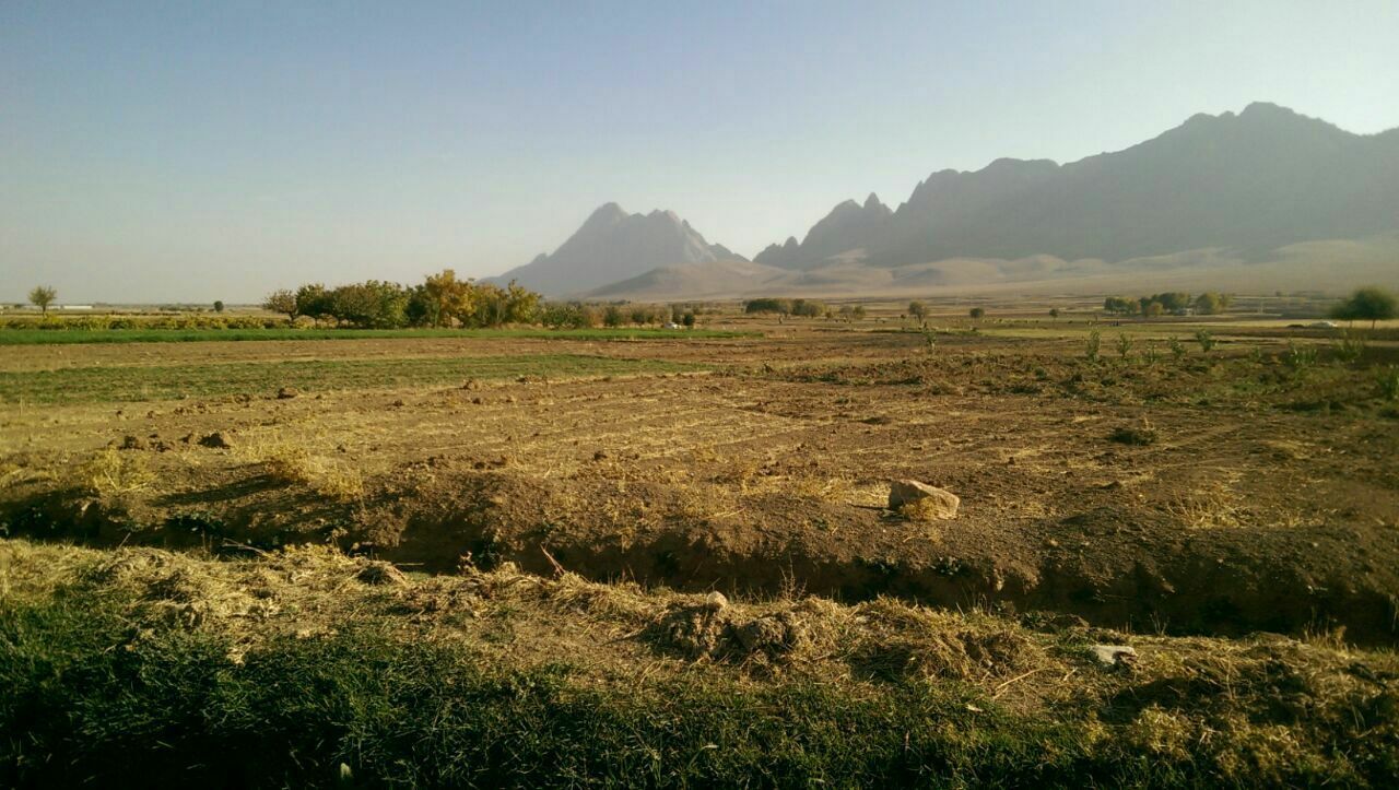 طبیعت