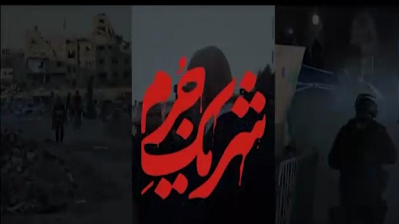 نماهنگ جدید شریک جرم منتشر شد
