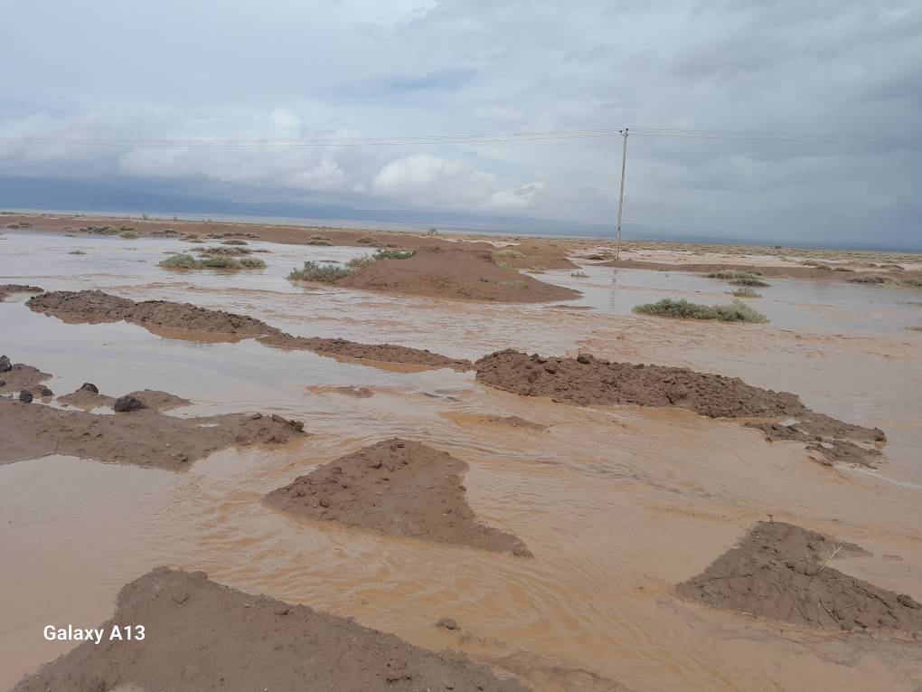 سیل به مزارع روستای سرچاه شور