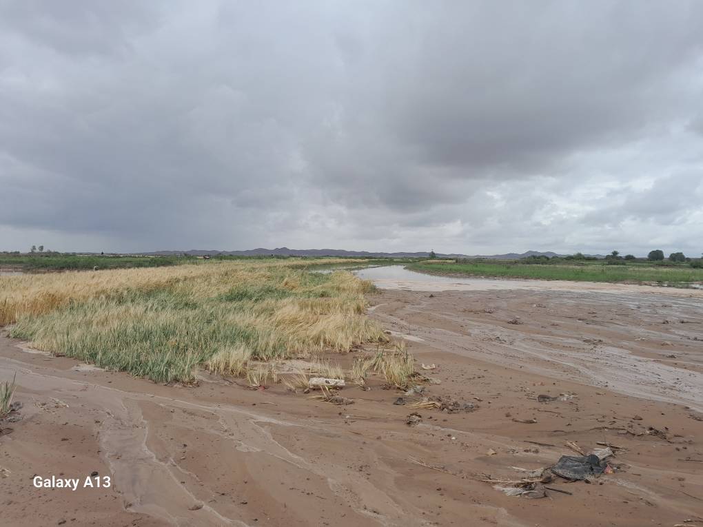 سیل به مزارع روستای سرچاه شور بیرجند