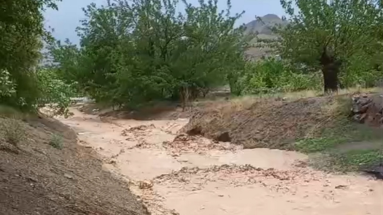سیلابی شدن رودخانه روستای کبوترکوه گناباد + فیلم