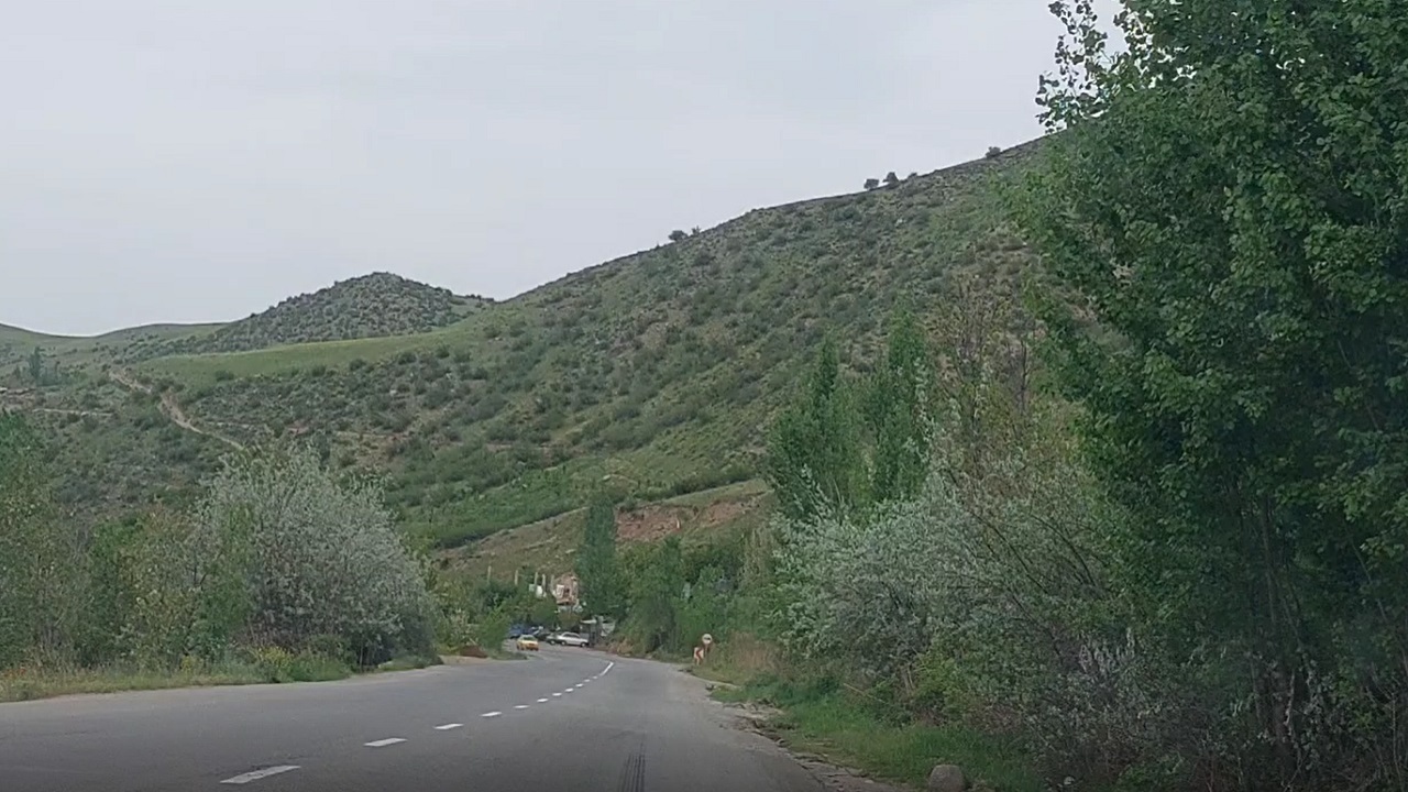 جلوه گری شکوفه‌های درختان گیلاس در جنگل فندقلو اهر + فیلم