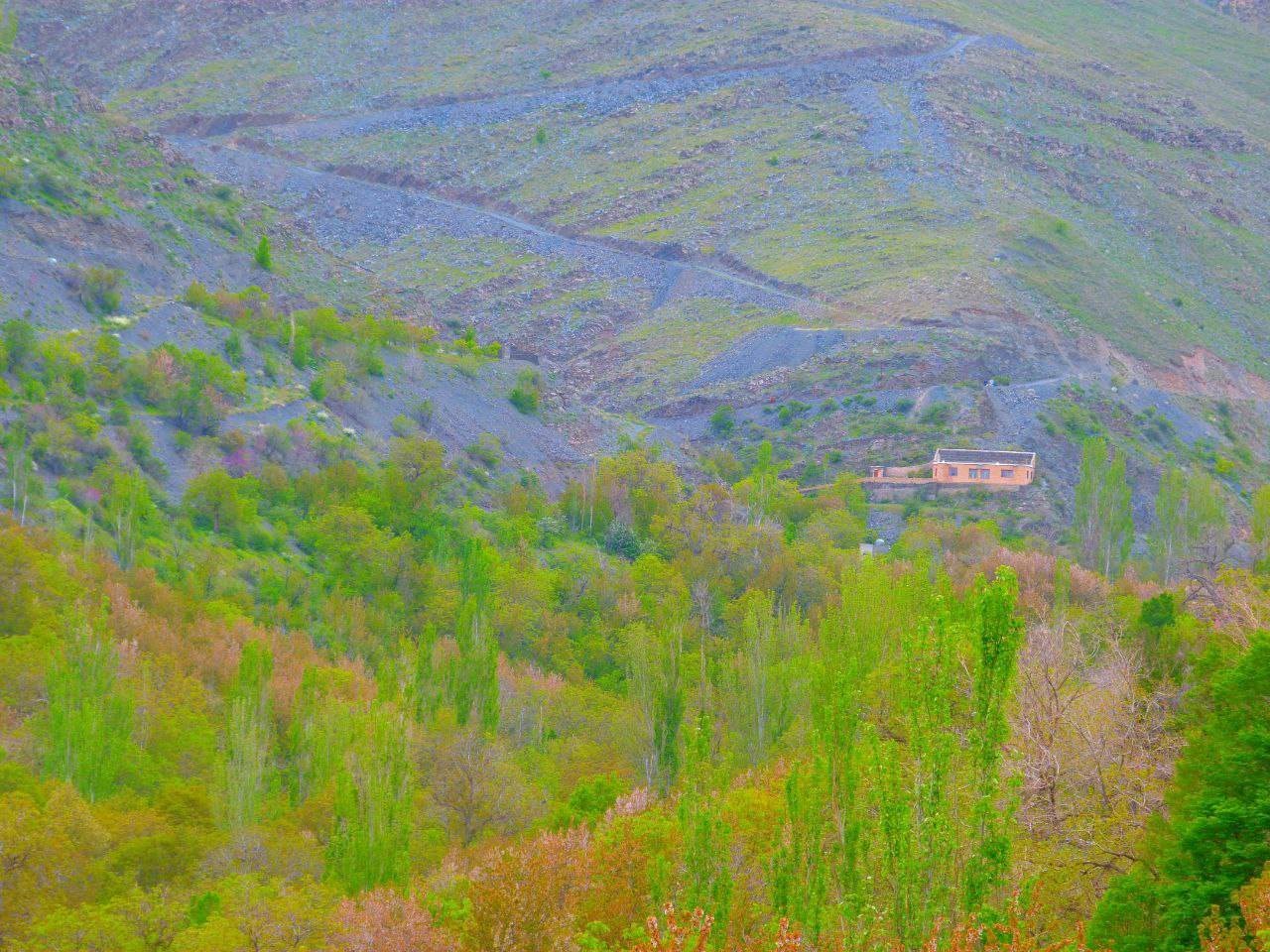 طبیعت بهاری در روستای ازغد
