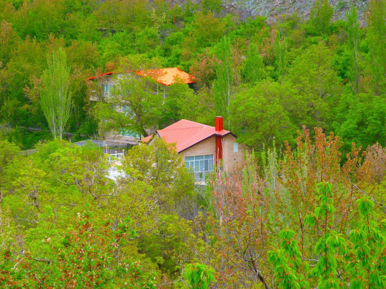 سرسبز شدن درختان روستای ازغد