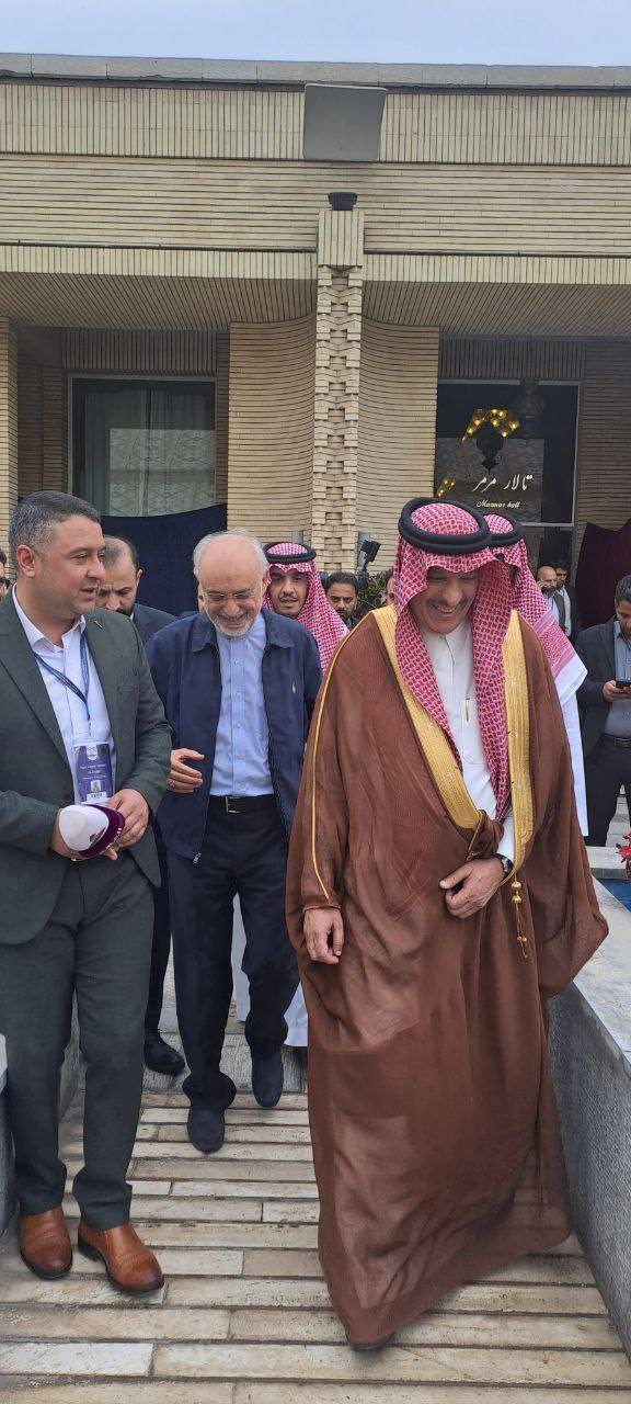 علی اکبر صالحی با سفیر عربستان دیدار کرد