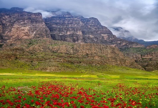 یافته