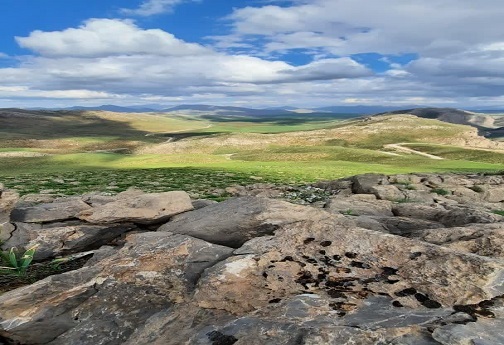 قالی کوه