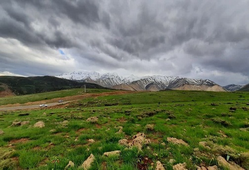 قالی کوه