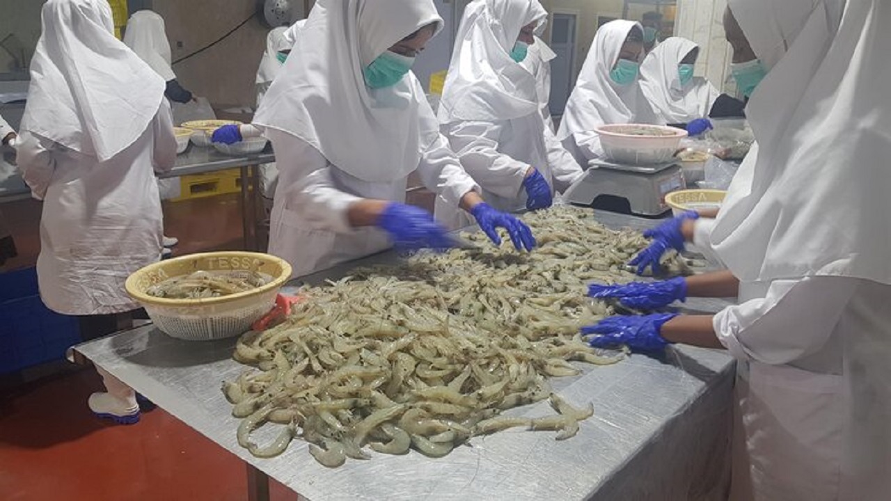 مرمت و بهسازی جاده سایت پرورش میگو دشتیاری آغاز شد