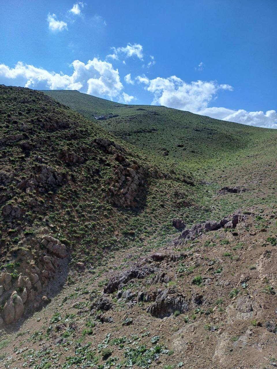 دشت ریواس در دشت نایه