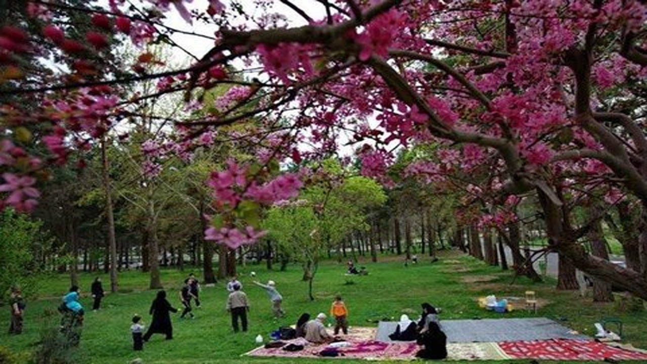 نکاتی که هنگام حضور در طبیعت باید رعایت کنیم