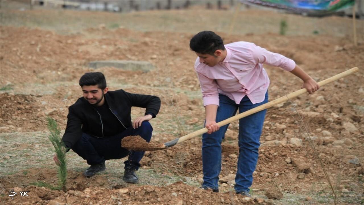 کاشت ۴ میلیون و ۲۰۰ هزار اصله نهال در آذربایجان‌غربی