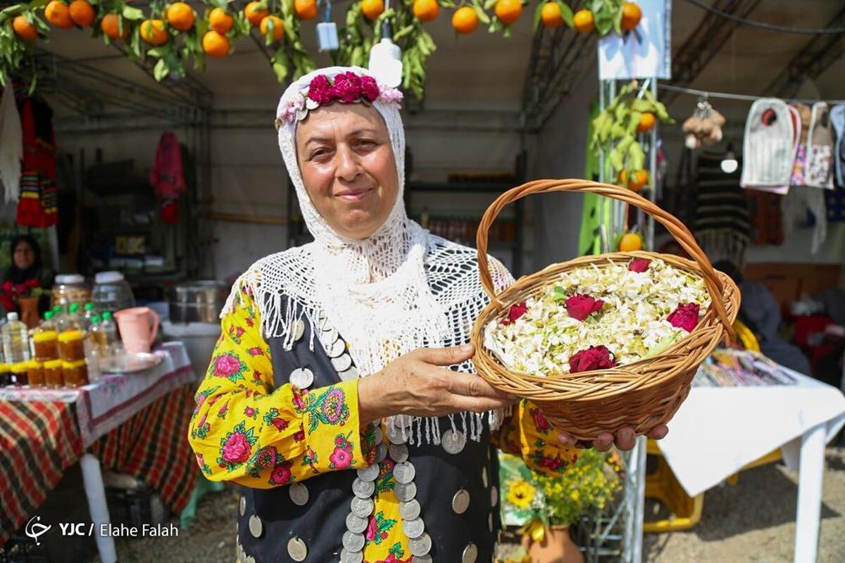 شکوفایی و عطرآکنی بهارنارنج در شیراز