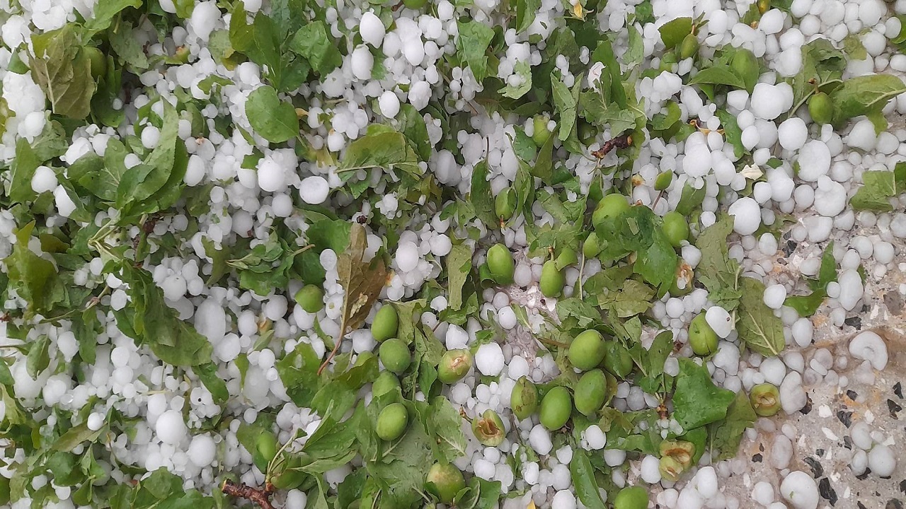بارش تگرگ مهمان بهاری روستای ایور شد + فیلم