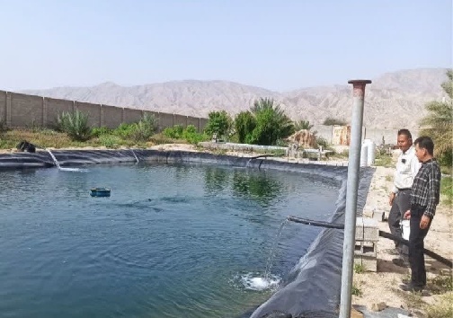 استخر پرورش ماهی