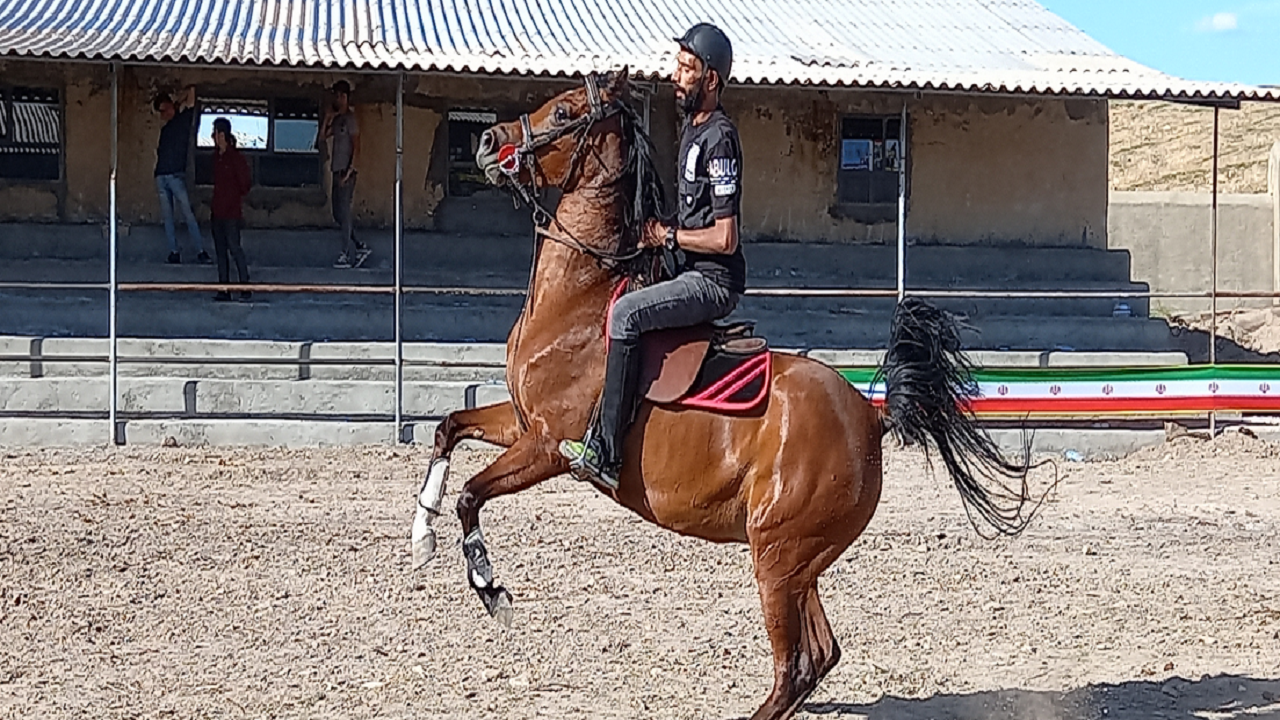 برگزاری جشنواره شو سواره اسب ، شمالغرب در مراغه