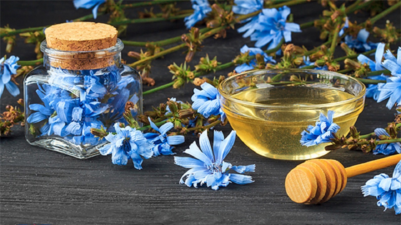 خواص کاسنی برای بدن + فیلم