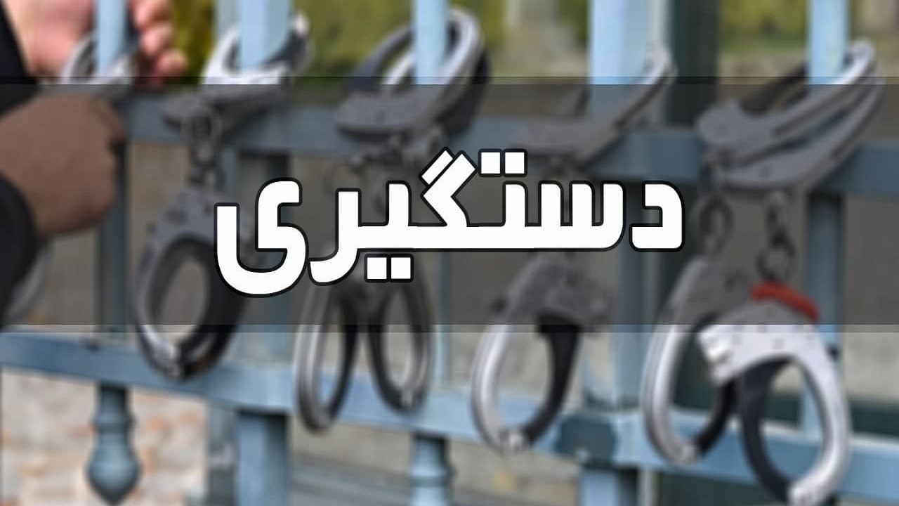 دستگیری سارقان حرفه ای در تبریز