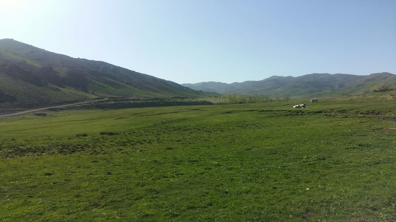 نگاهی به دشت‌های سرسبز در روستای غرق‌آب‌زار به روایت تصویر