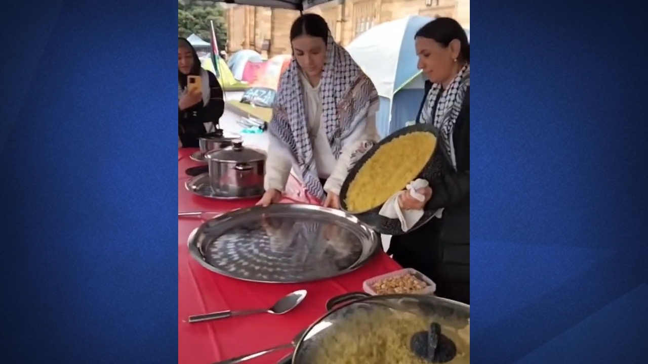 پذیرایی از حامیان فلسطین در غرب + فیلم