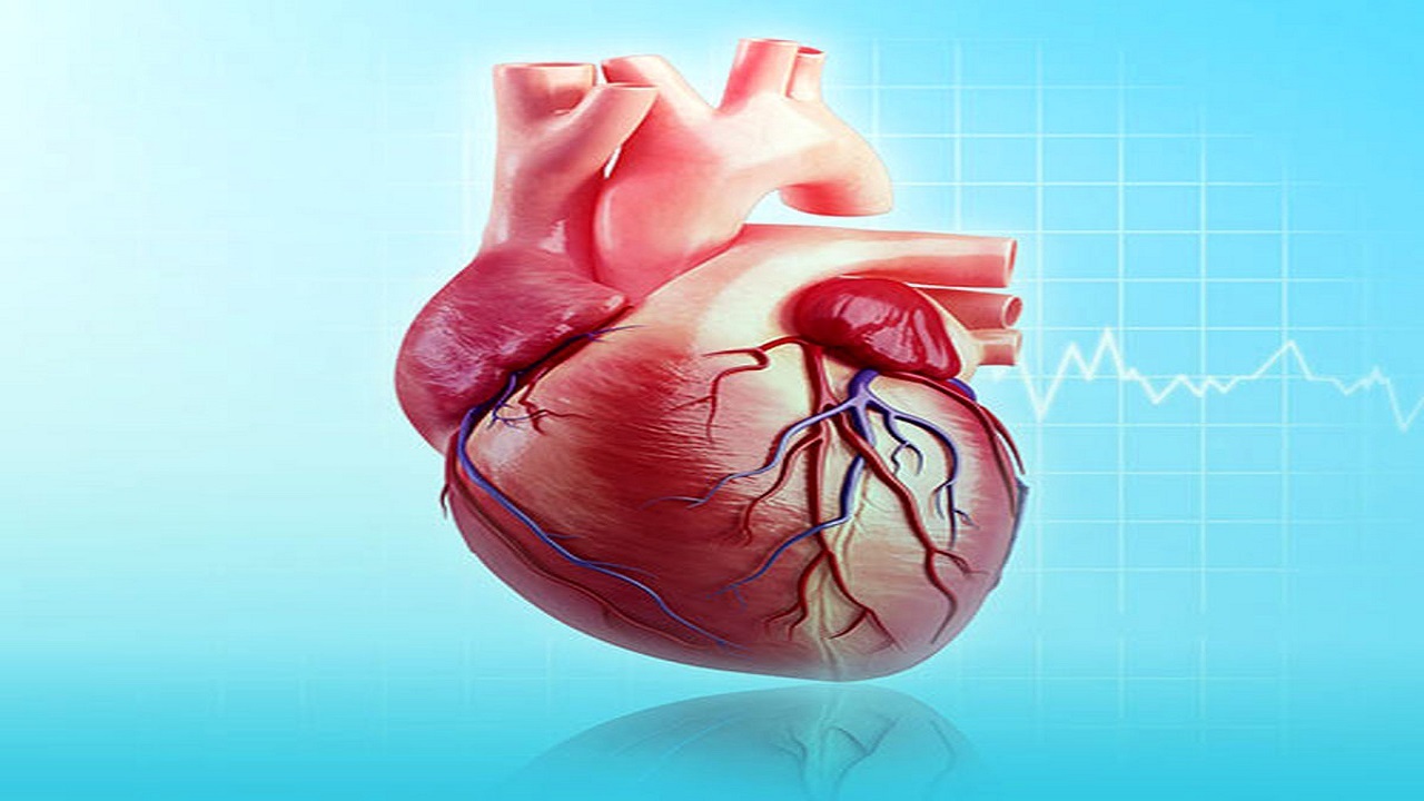 قلب از دیدگاه ابوعلی سینا + فیلم