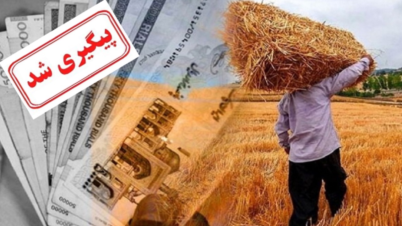 موضوع تاخیر در پرداخت مطالبات گندم‌کاران از زبان رئیس غله استان کرمان