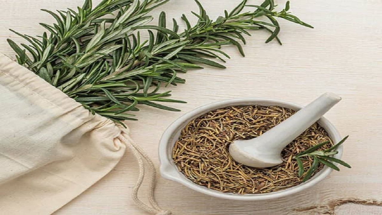 خواص گیاه آویشن + فیلم