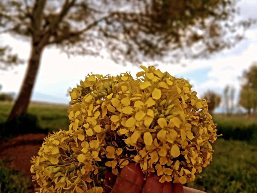 نمای زیبا از شهر کلوانق